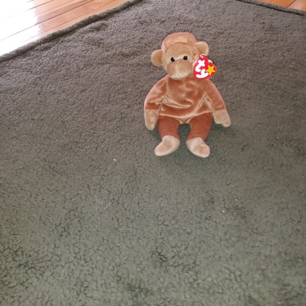 Beanie Babies, Bongo, August 17, 1995